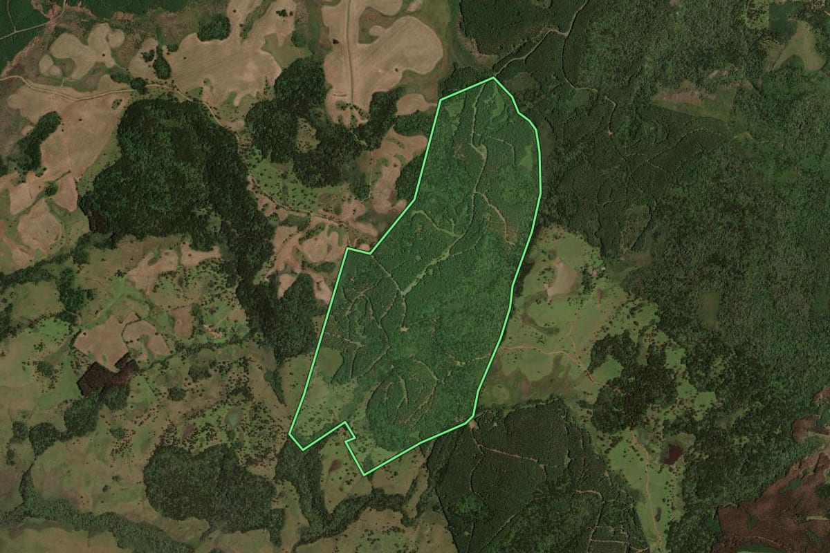 Imagem de satélite do imóvel rural em Lages (SC), com o contorno declarado no CAR desenhado por cima.
