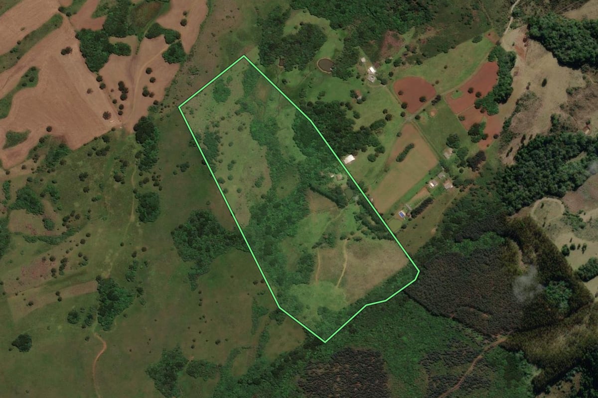 Imagem de satélite do imóvel rural em Lages (SC), com o contorno declarado no CAR desenhado por cima.