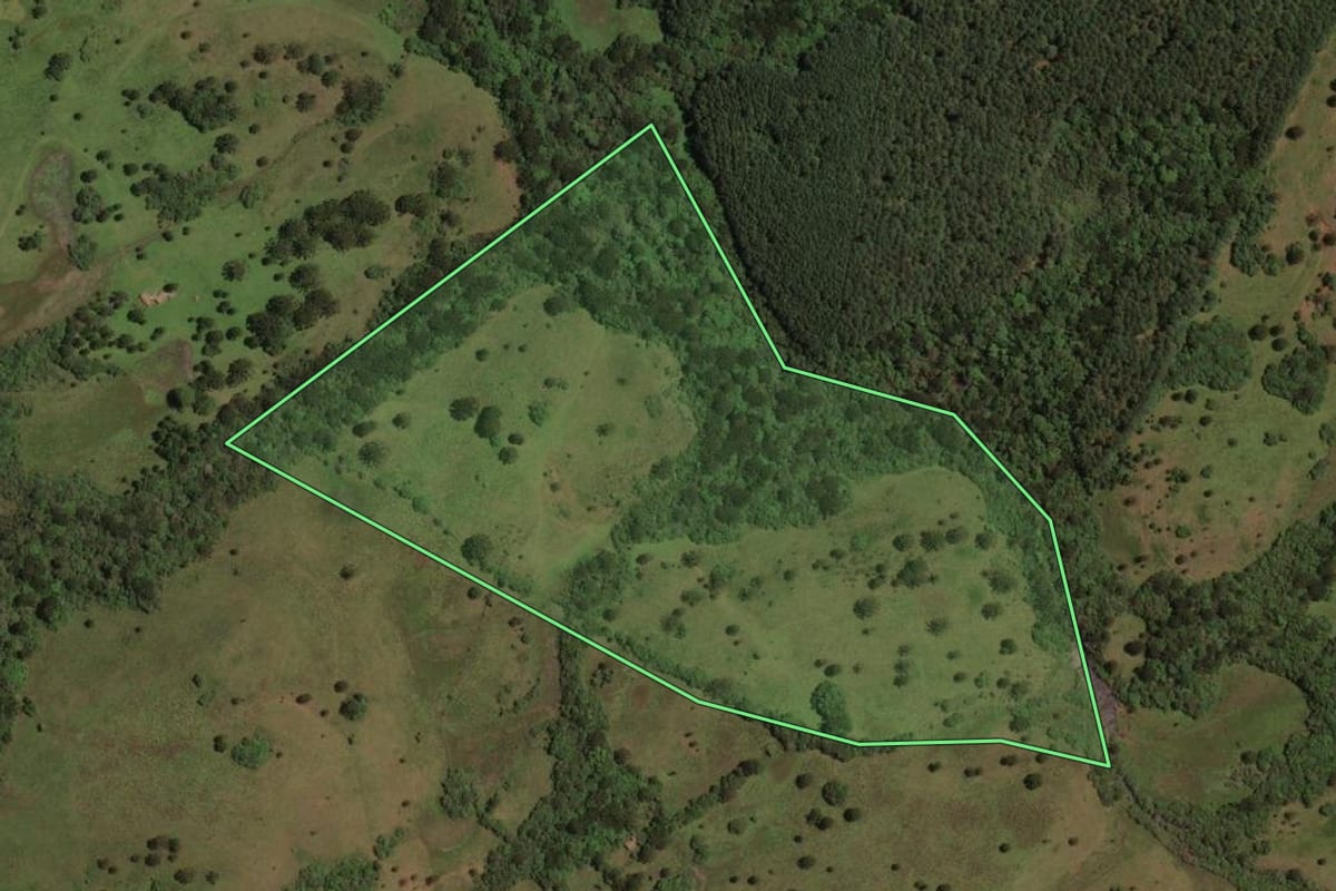 Imagem de satélite do imóvel rural em Lages (SC), com o contorno declarado no CAR desenhado por cima.
