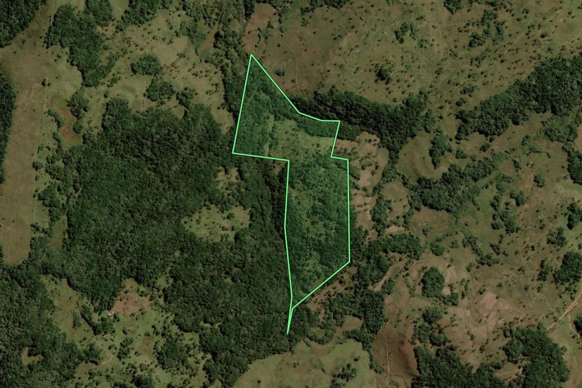 Imagem de satélite do imóvel rural em Lages (SC), com o contorno declarado no CAR desenhado por cima.