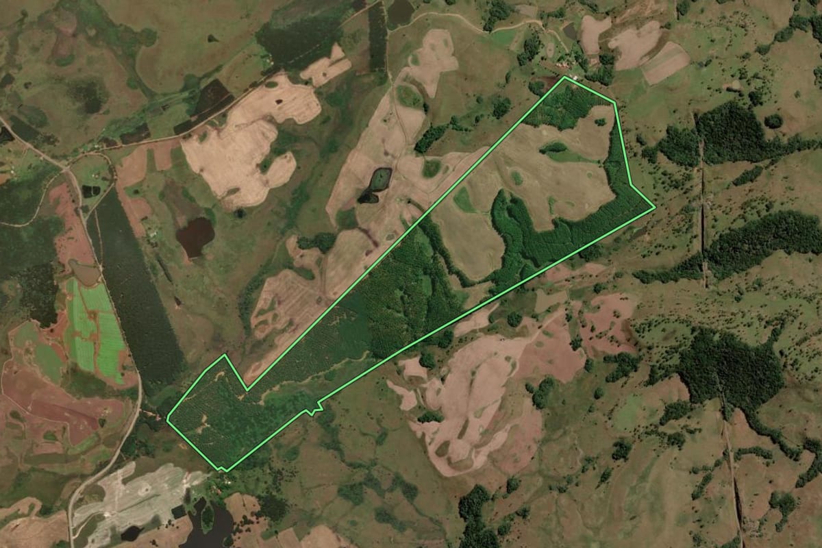 Imagem de satélite do imóvel rural em Lages (SC), com o contorno declarado no CAR desenhado por cima.