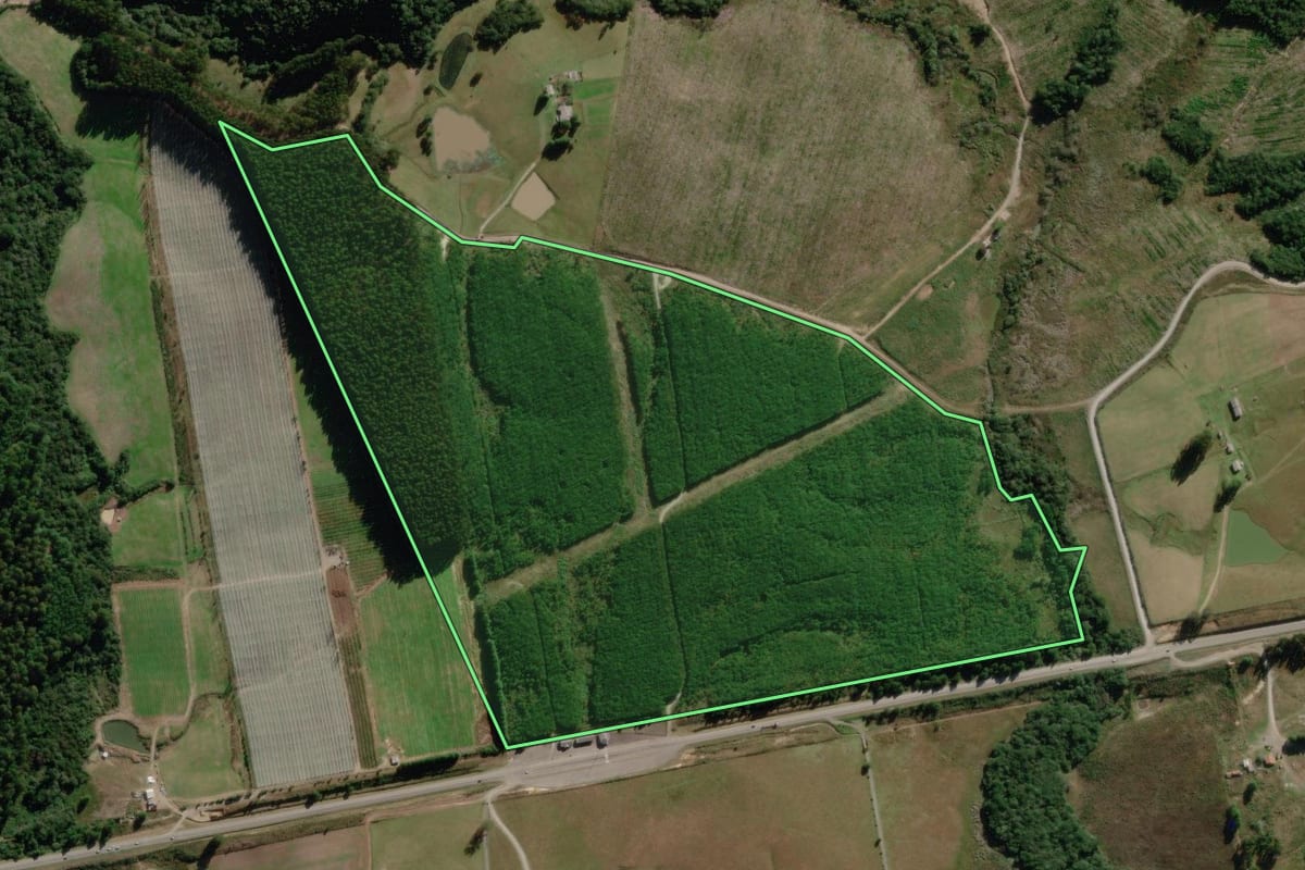 Imagem de satélite do imóvel rural em Lages (SC), com o contorno declarado no CAR desenhado por cima.