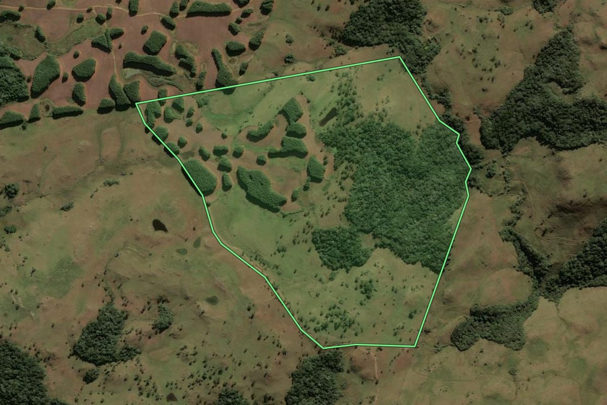 Imagem de satélite do imóvel rural em Lages (SC), com o contorno declarado no CAR desenhado por cima.