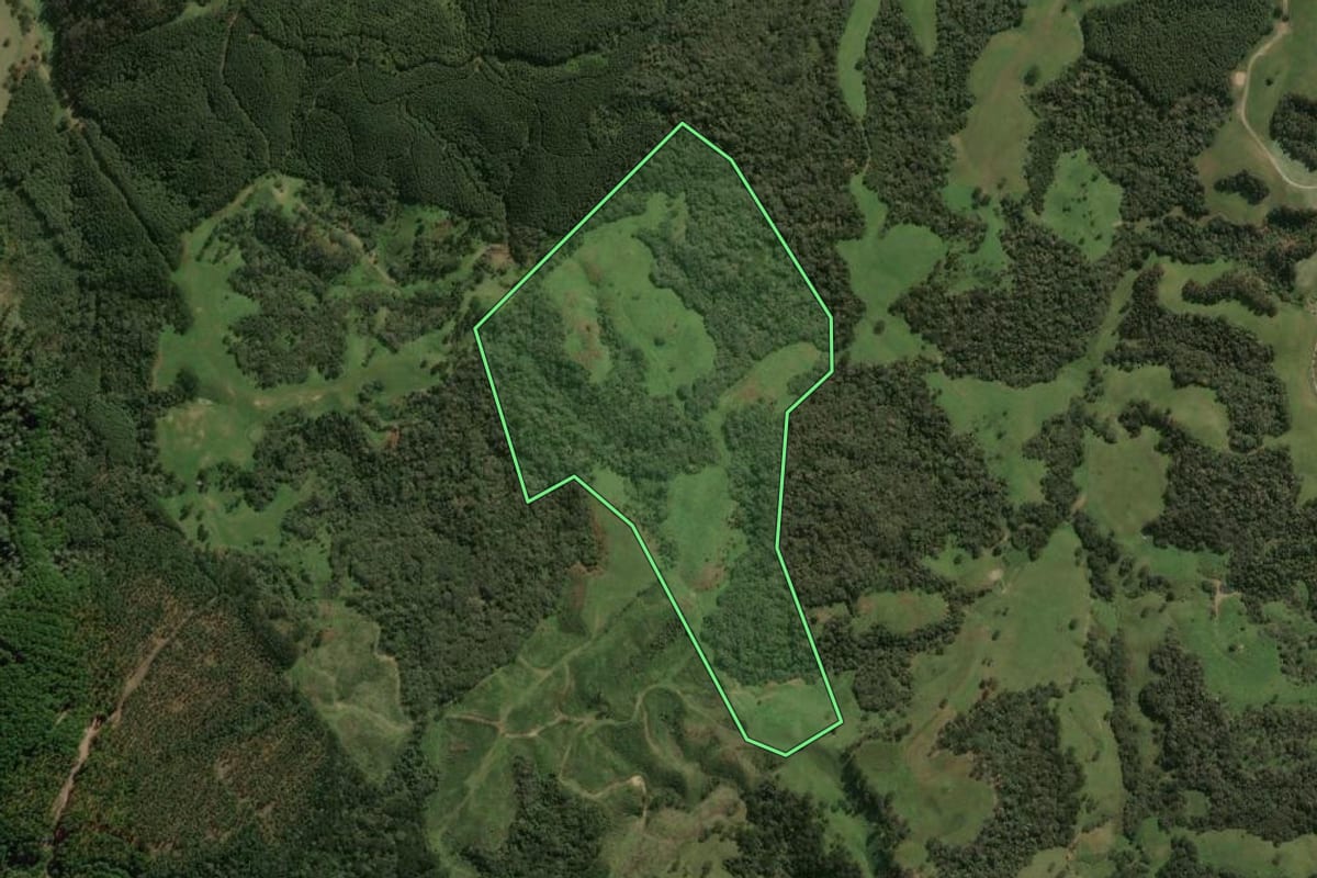 Imagem de satélite do imóvel rural em Lages (SC), com o contorno declarado no CAR desenhado por cima.