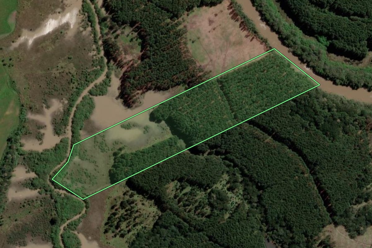 Imagem de satélite do imóvel rural em Lages (SC), com o contorno declarado no CAR desenhado por cima.