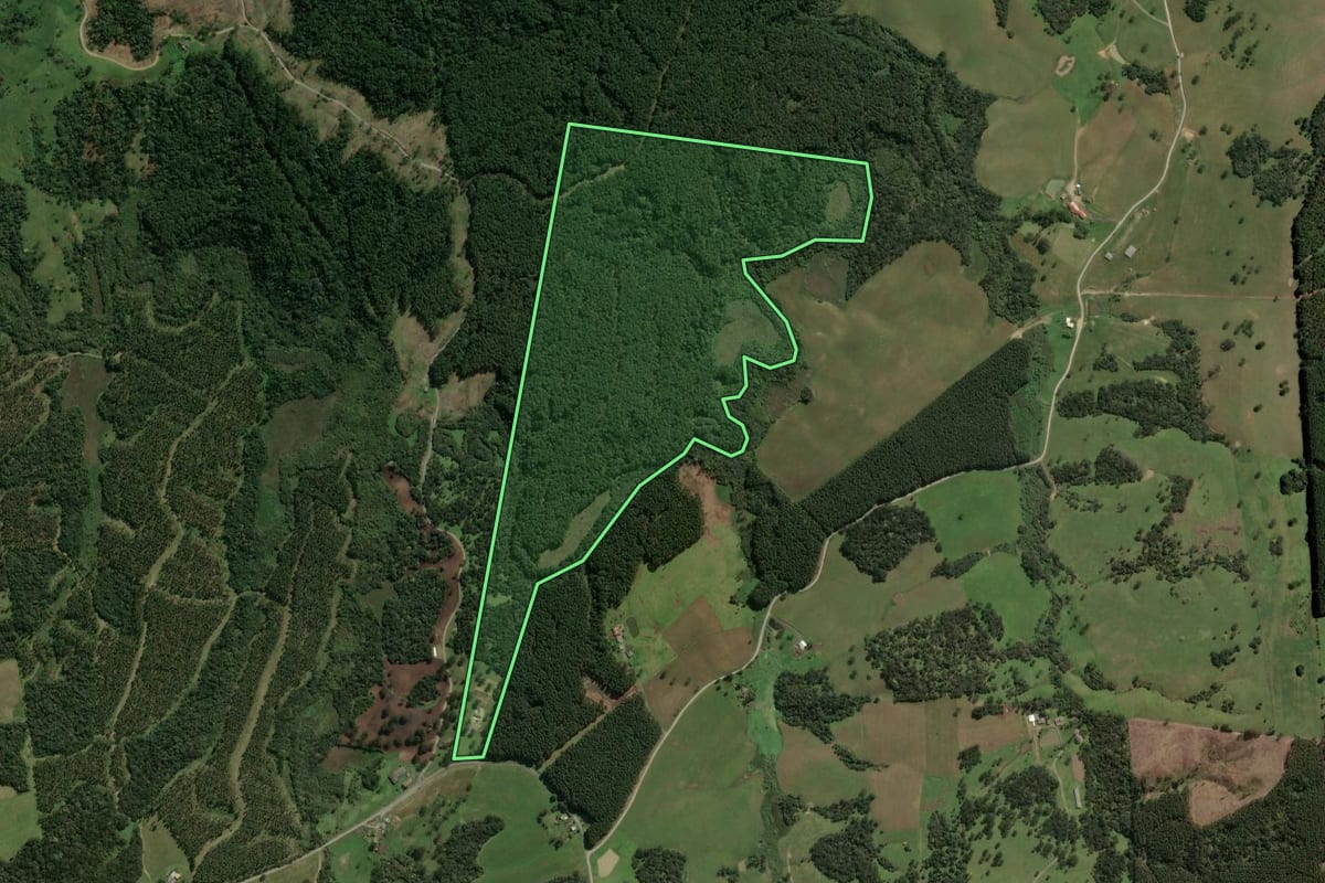Imagem de satélite do imóvel rural em Lages (SC), com o contorno declarado no CAR desenhado por cima.