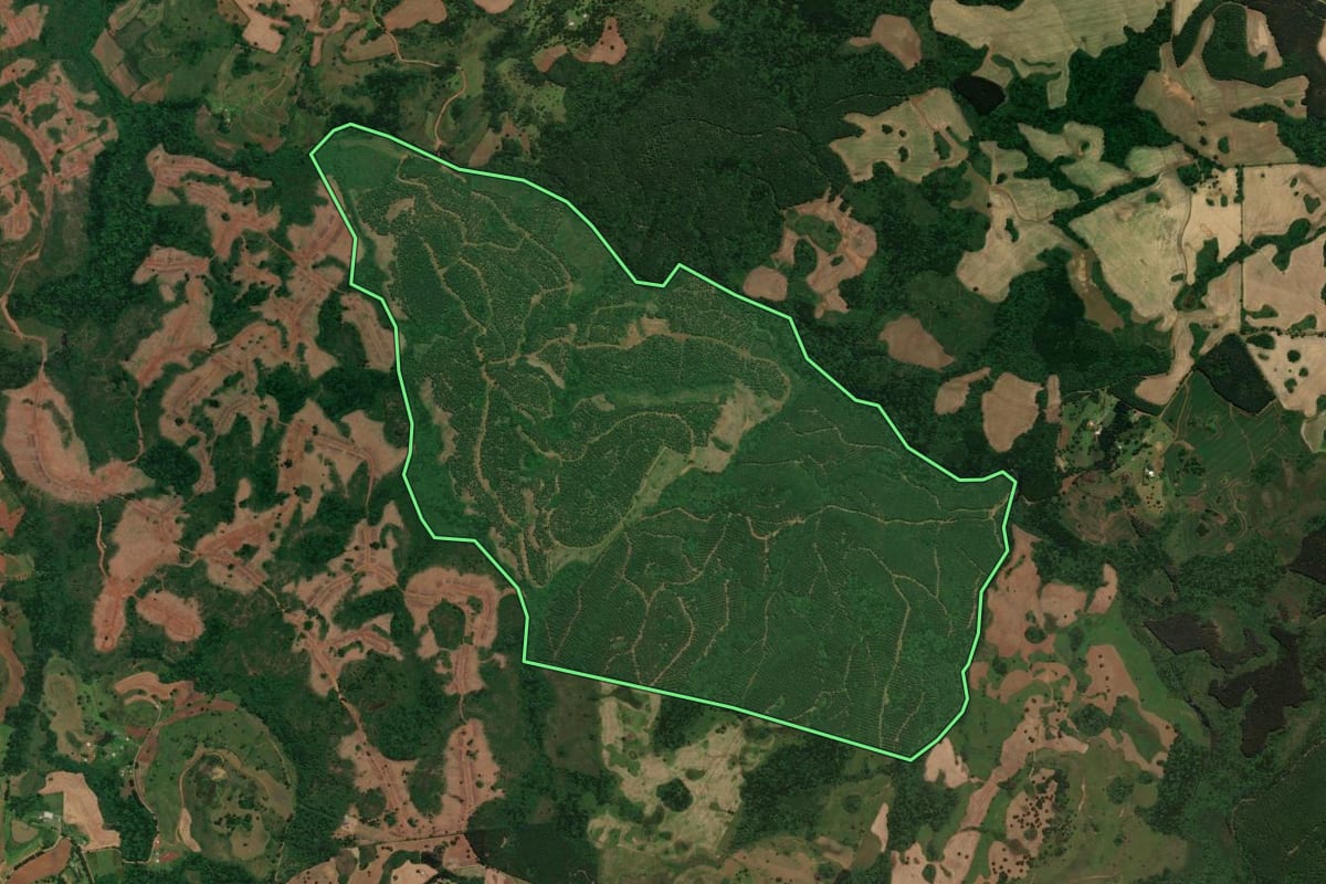 Imagem de satélite do imóvel rural em Lages (SC), com o contorno declarado no CAR desenhado por cima.