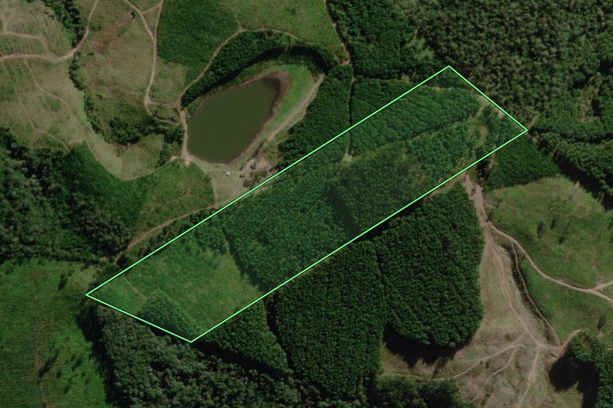 Imagem de satélite do imóvel rural em Lages (SC), com o contorno declarado no CAR desenhado por cima.