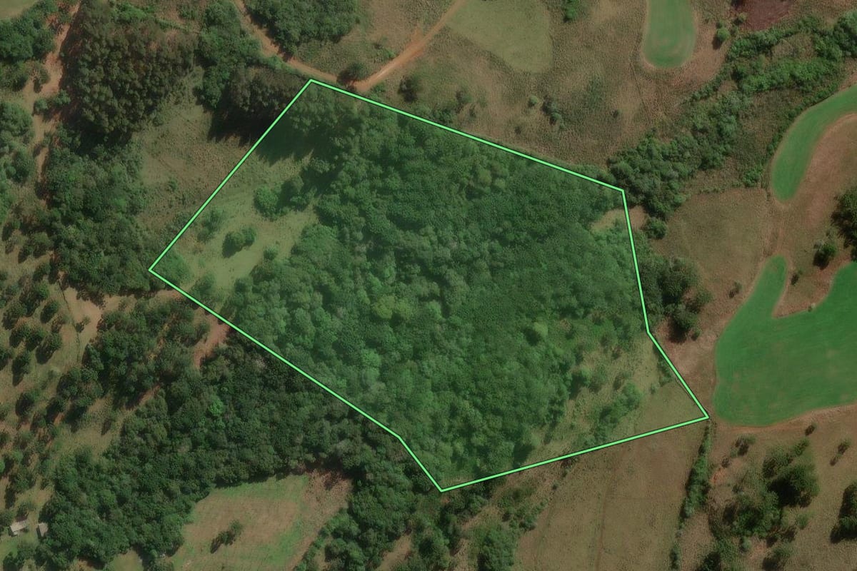 Imagem de satélite do imóvel rural em Lages (SC), com o contorno declarado no CAR desenhado por cima.