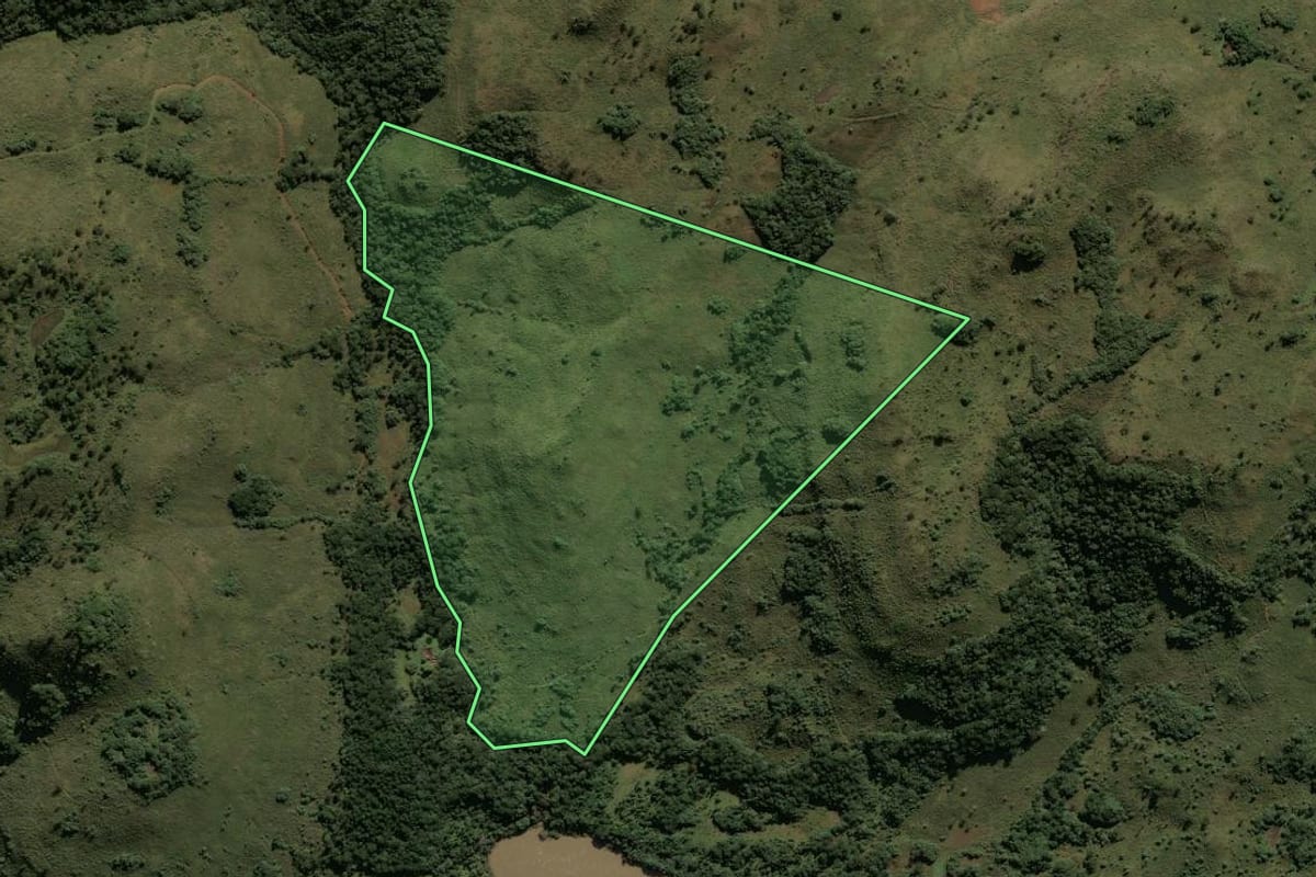 Imagem de satélite do imóvel rural em Lages (SC), com o contorno declarado no CAR desenhado por cima.