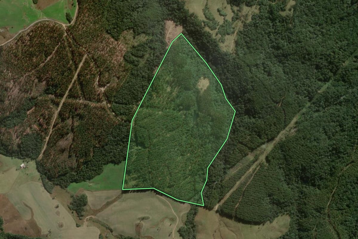Imagem de satélite do imóvel rural em Lages (SC), com o contorno declarado no CAR desenhado por cima.