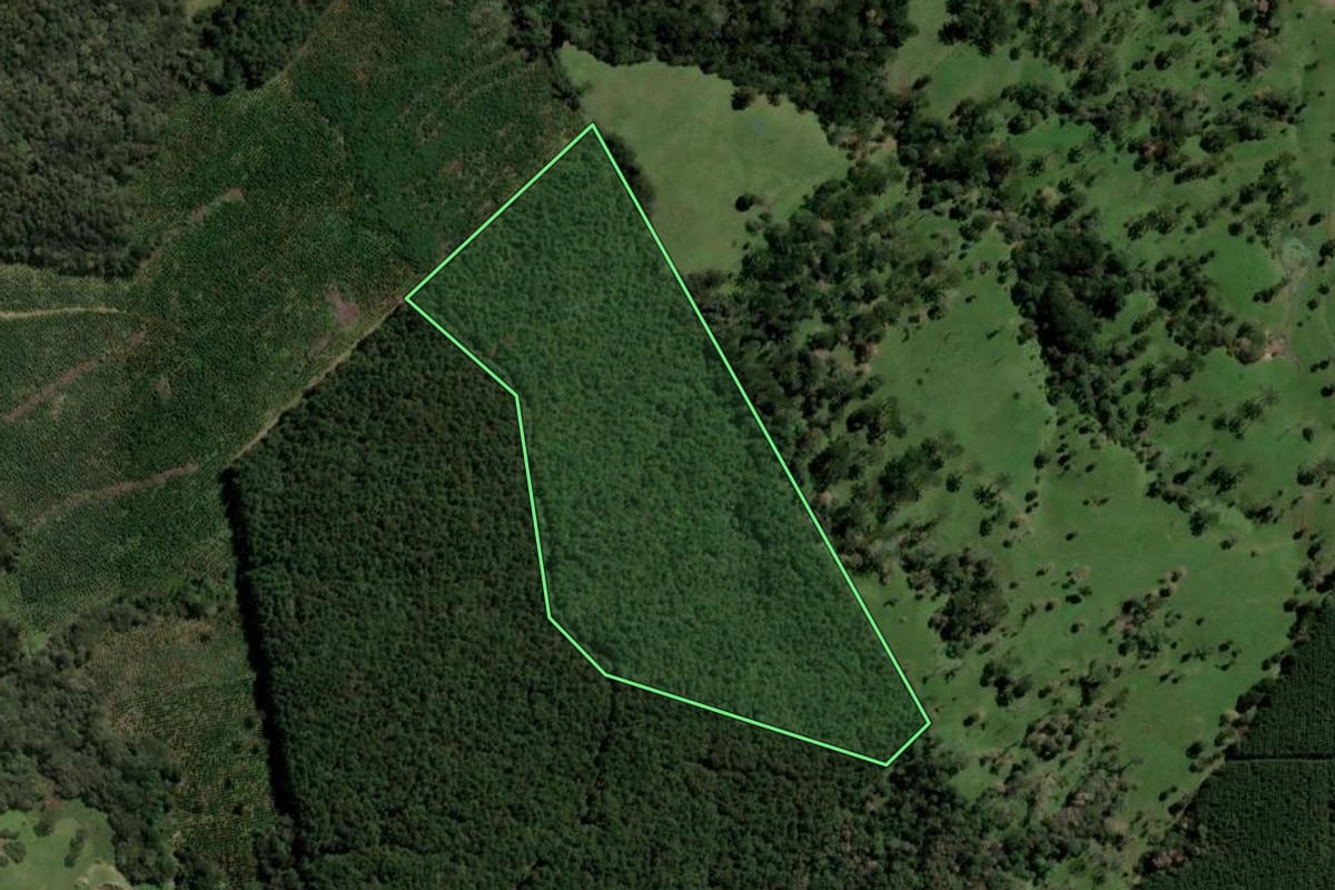 Imagem de satélite do imóvel rural em Lages (SC), com o contorno declarado no CAR desenhado por cima.