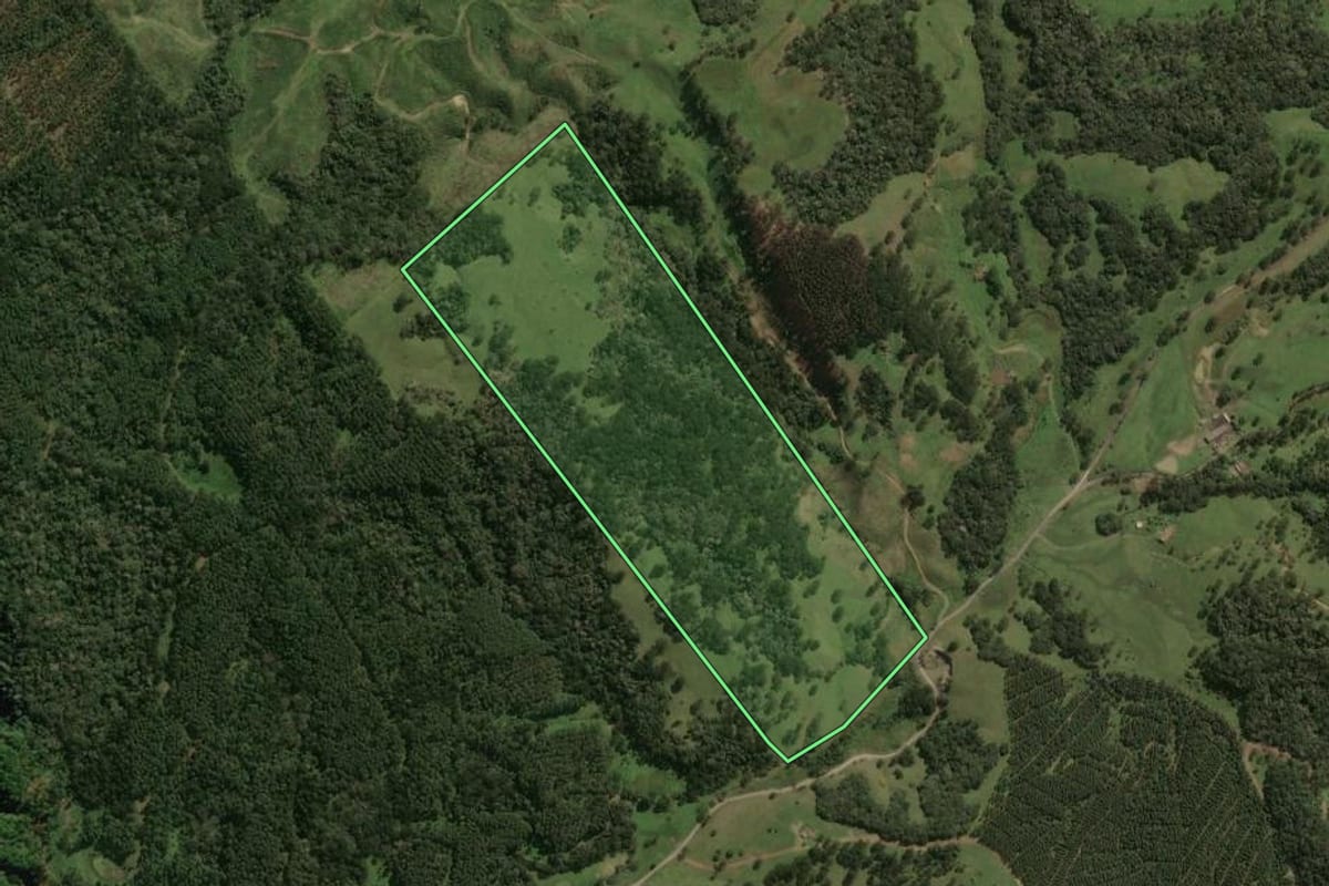 Imagem de satélite do imóvel rural em Lages (SC), com o contorno declarado no CAR desenhado por cima.