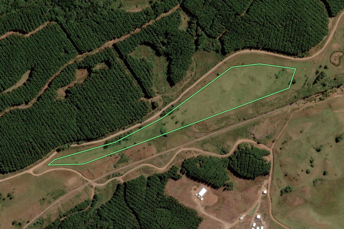 Imagem de satélite do imóvel rural em Lages (SC), com o contorno declarado no CAR desenhado por cima.