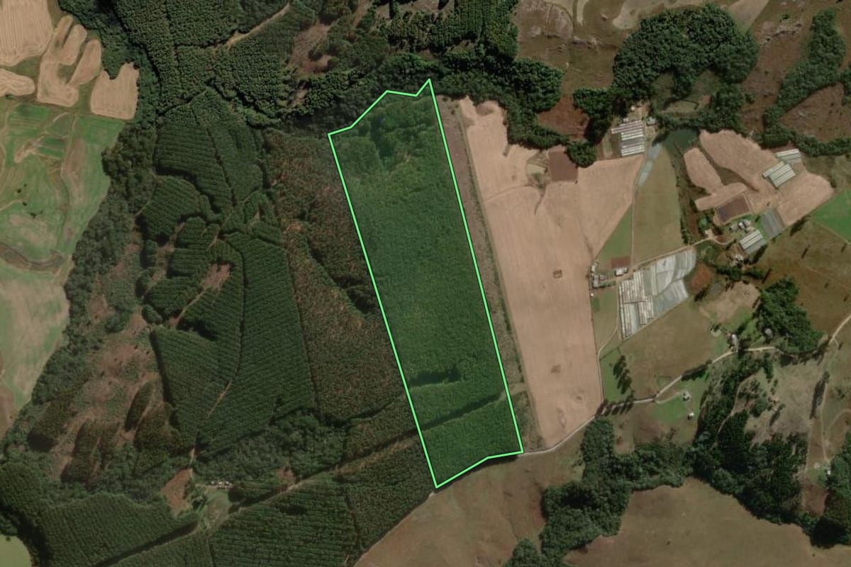 Imagem de satélite do imóvel rural em Lages (SC), com o contorno declarado no CAR desenhado por cima.