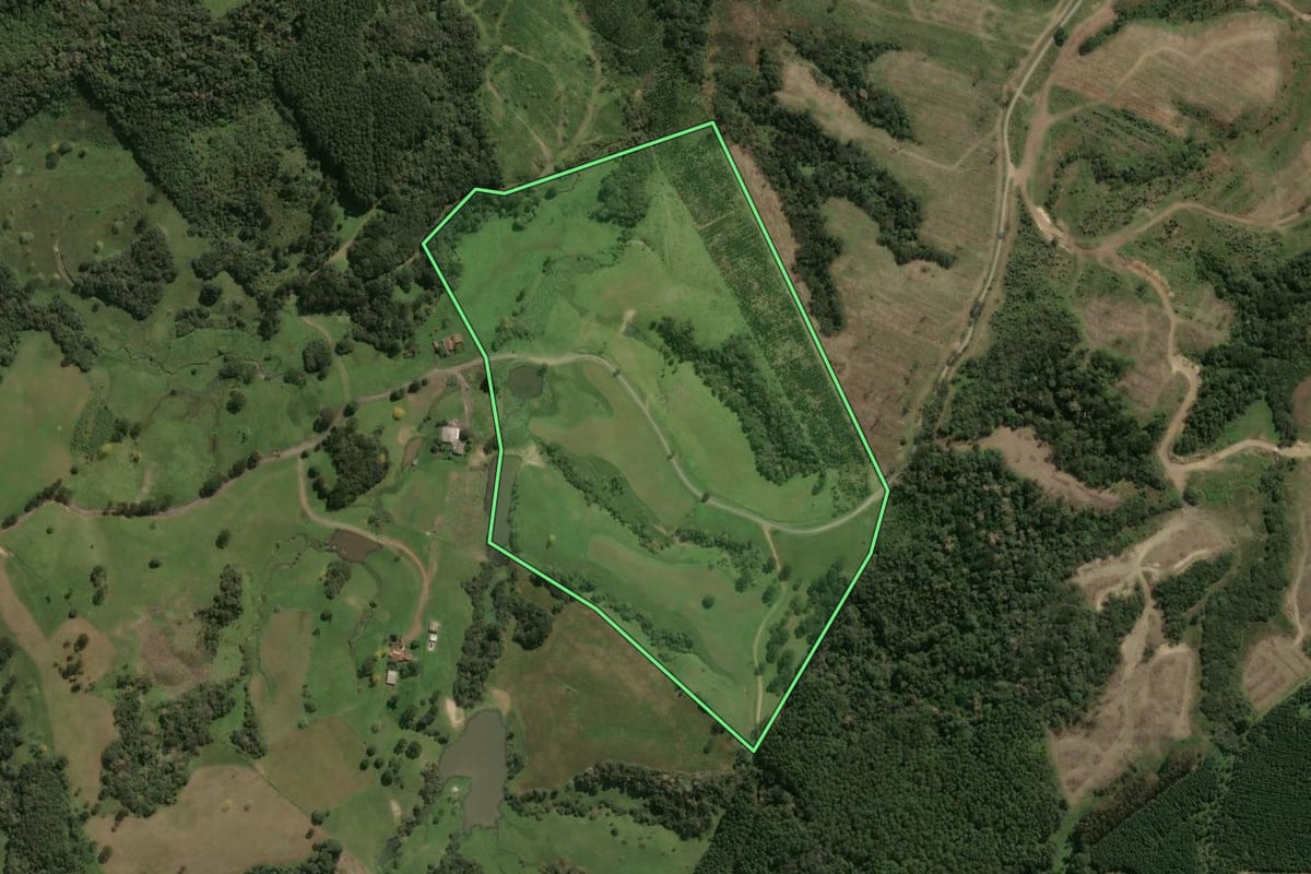 Imagem de satélite do imóvel rural em Lages (SC), com o contorno declarado no CAR desenhado por cima.