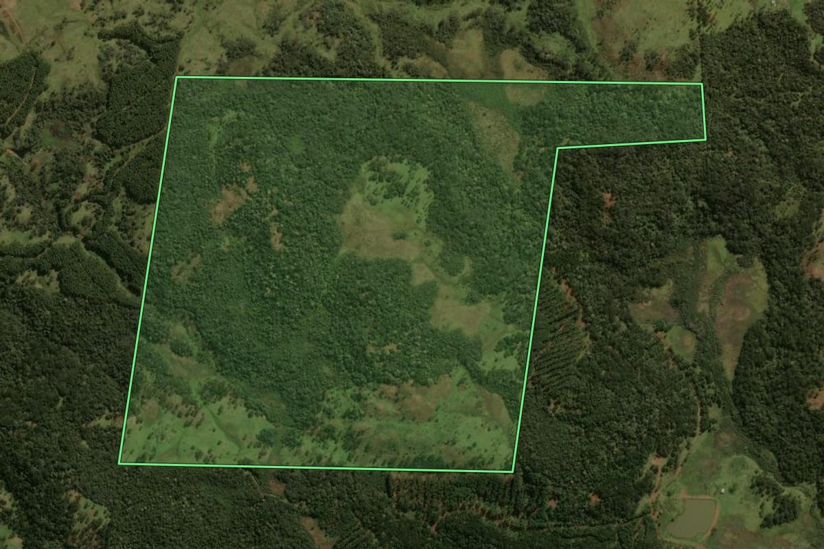 Imagem de satélite do imóvel rural em Lages (SC), com o contorno declarado no CAR desenhado por cima.