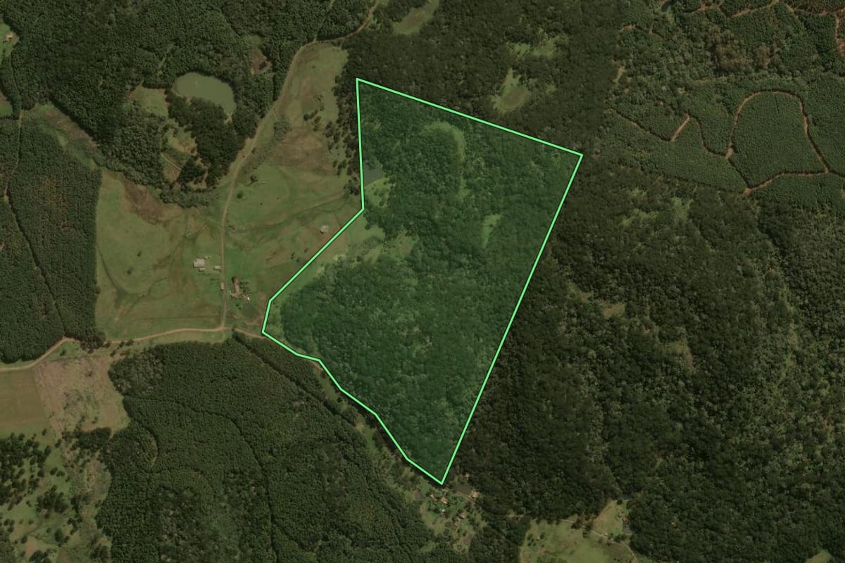 Imagem de satélite do imóvel rural em Lages (SC), com o contorno declarado no CAR desenhado por cima.