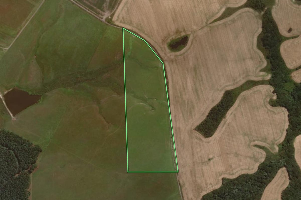 Imagem de satélite do imóvel rural em Lages (SC), com o contorno declarado no CAR desenhado por cima.
