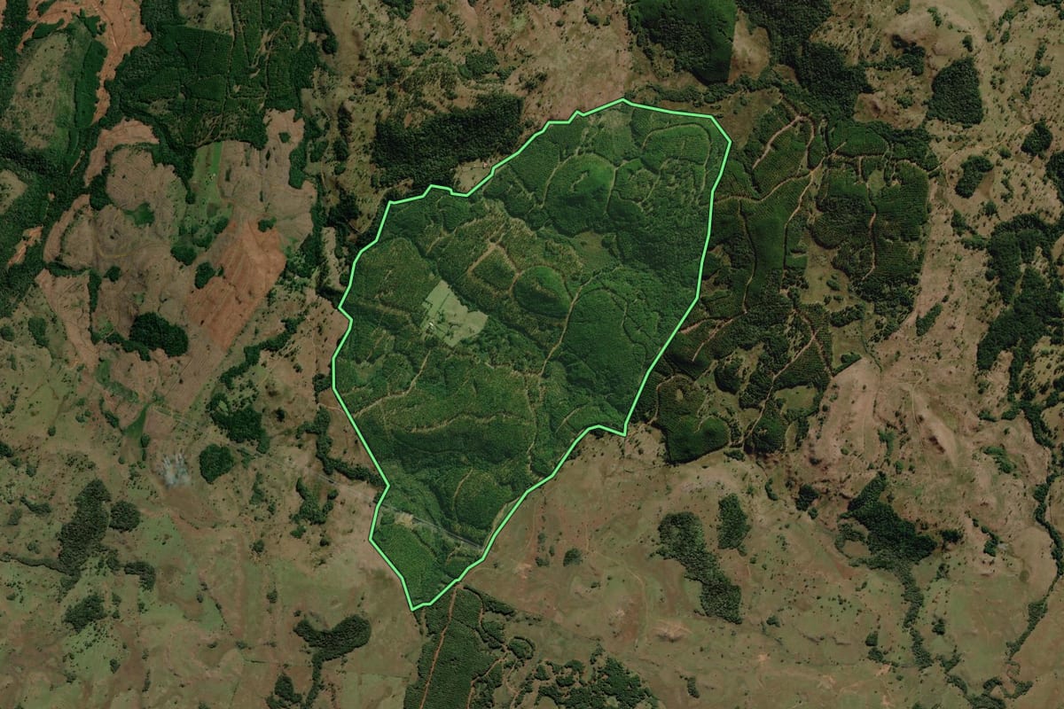 Imagem de satélite do imóvel rural em Lages (SC), com o contorno declarado no CAR desenhado por cima.