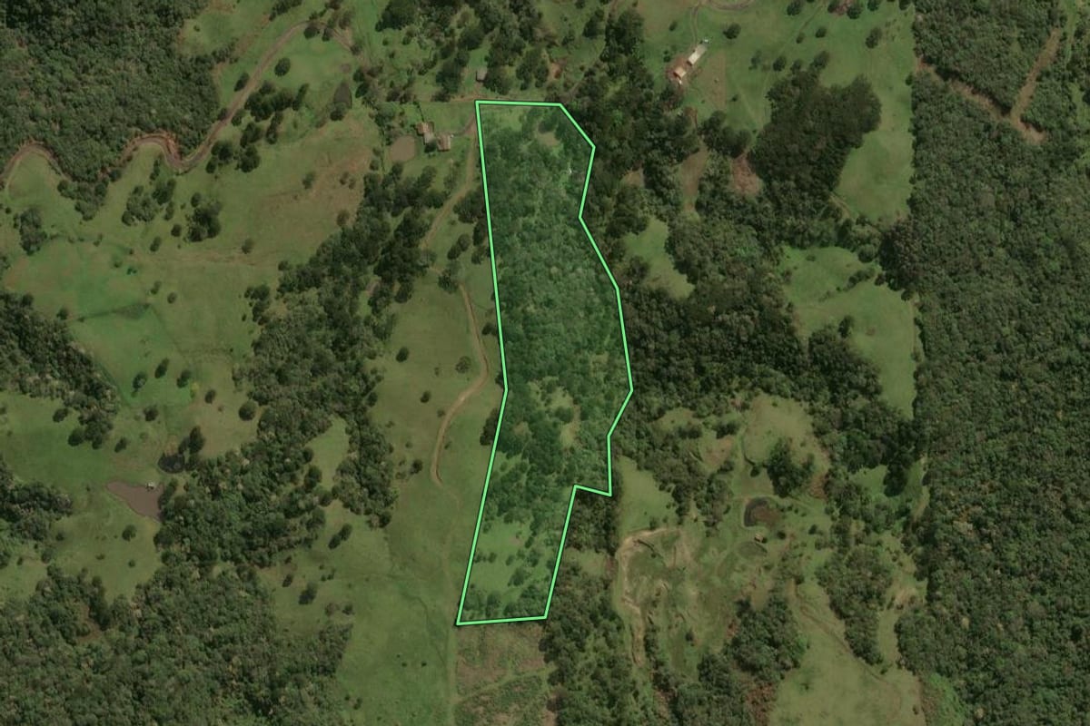 Imagem de satélite do imóvel rural em Lages (SC), com o contorno declarado no CAR desenhado por cima.