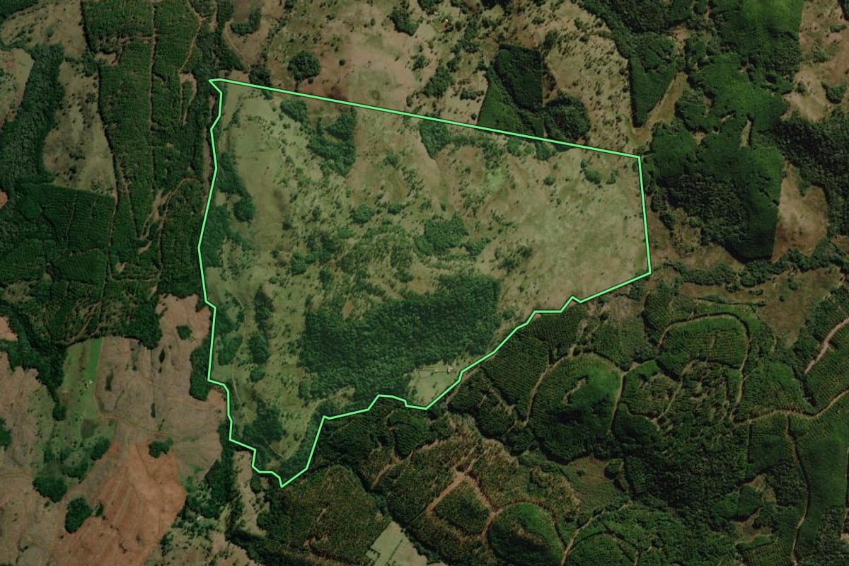 Imagem de satélite do imóvel rural em Lages (SC), com o contorno declarado no CAR desenhado por cima.