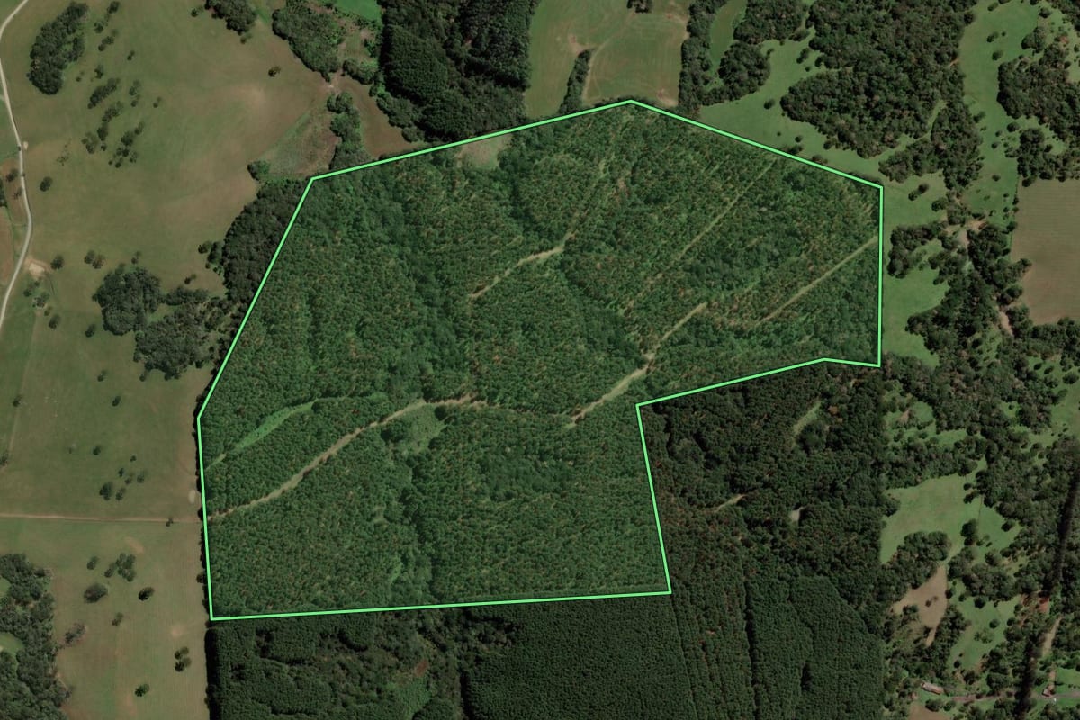Imagem de satélite do imóvel rural em Lages (SC), com o contorno declarado no CAR desenhado por cima.