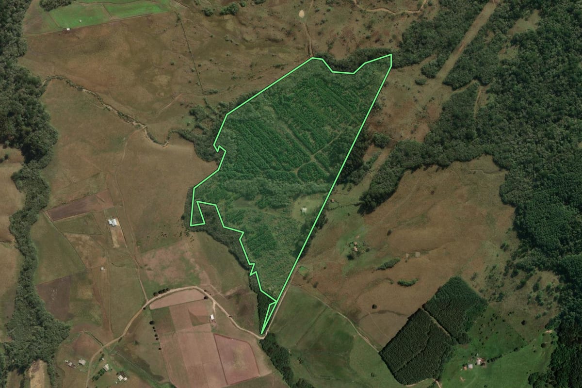 Imagem de satélite do imóvel rural em Lages (SC), com o contorno declarado no CAR desenhado por cima.