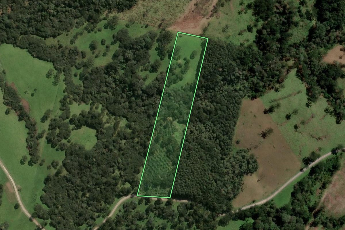Imagem de satélite do imóvel rural em Lages (SC), com o contorno declarado no CAR desenhado por cima.