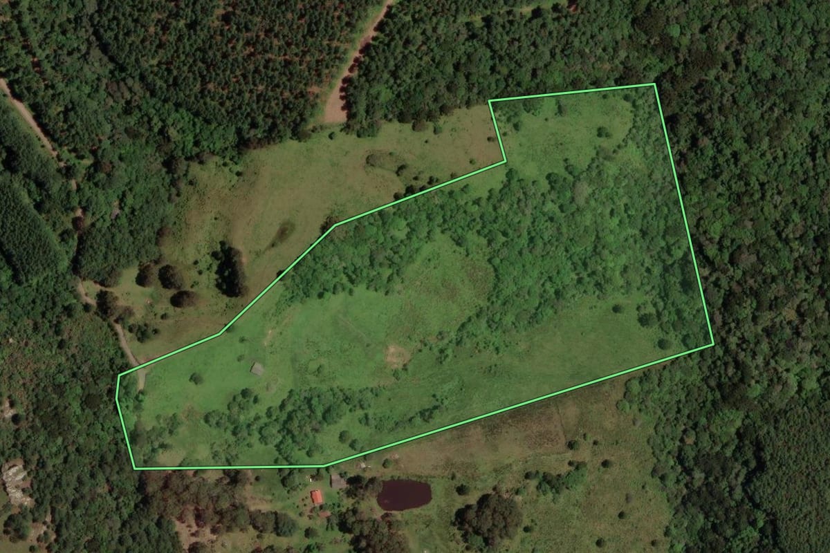 Imagem de satélite do imóvel rural em Lages (SC), com o contorno declarado no CAR desenhado por cima.