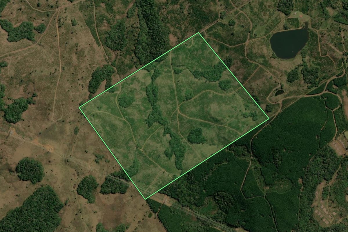 Imagem de satélite do imóvel rural em Lages (SC), com o contorno declarado no CAR desenhado por cima.