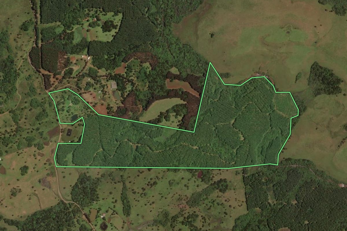 Imagem de satélite do imóvel rural em Lages (SC), com o contorno declarado no CAR desenhado por cima.