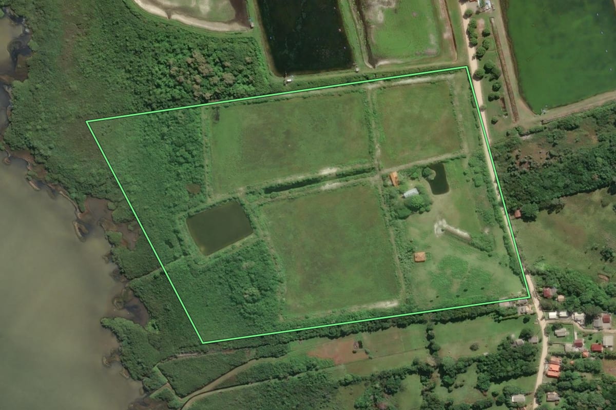 Imagem de satélite do imóvel rural em Laguna (SC), com o contorno declarado no CAR desenhado por cima.