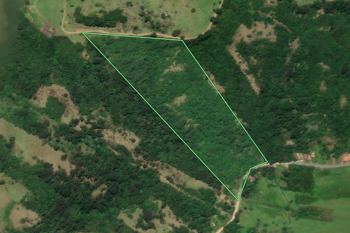 Imagem de satélite do imóvel rural em Laguna (SC), com o contorno declarado no CAR desenhado por cima.