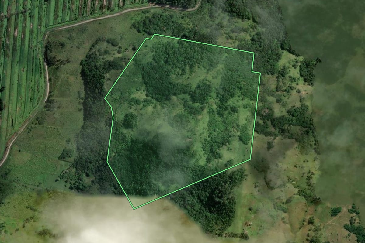Imagem de satélite do imóvel rural em Laguna (SC), com o contorno declarado no CAR desenhado por cima.