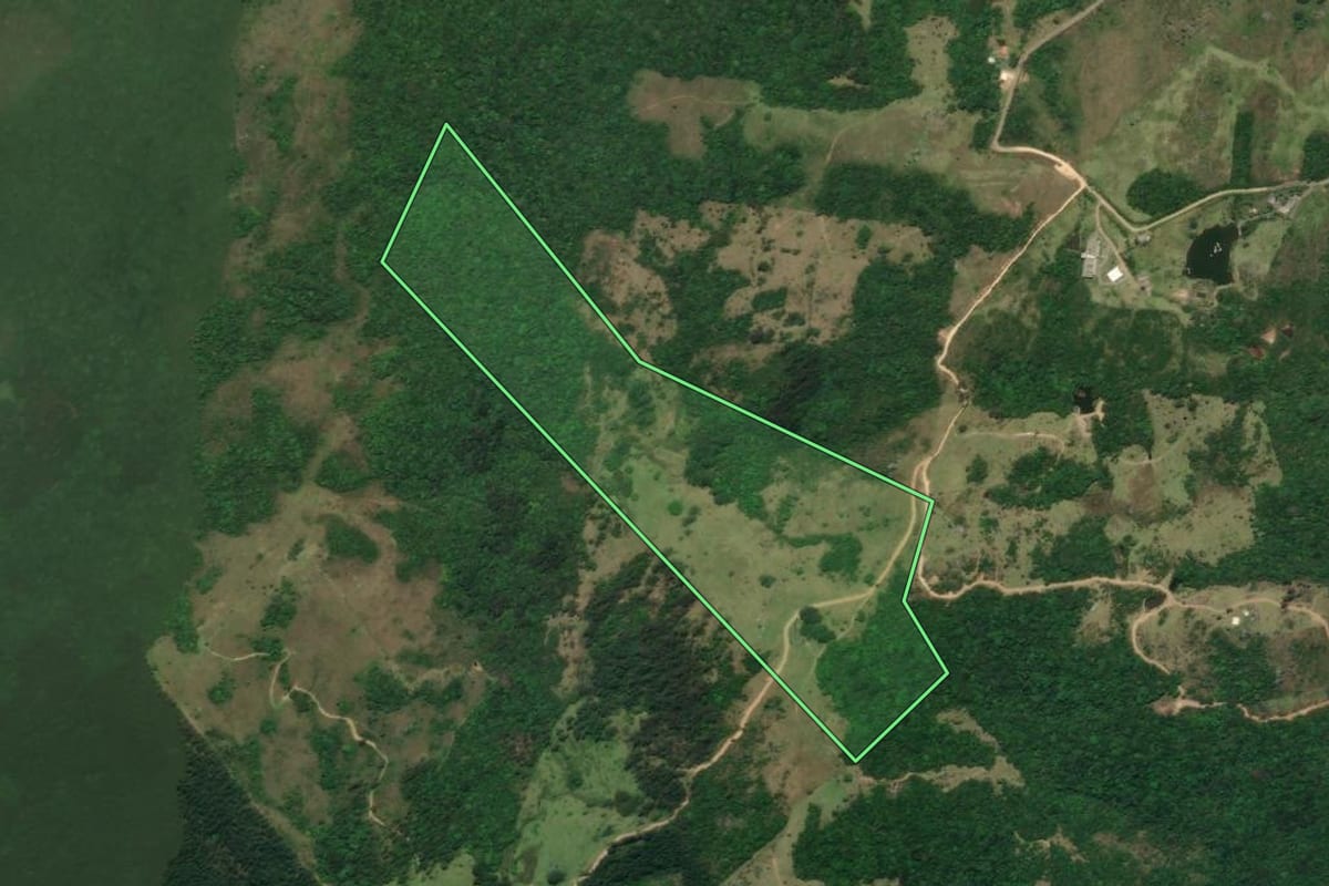 Imagem de satélite do imóvel rural em Laguna (SC), com o contorno declarado no CAR desenhado por cima.