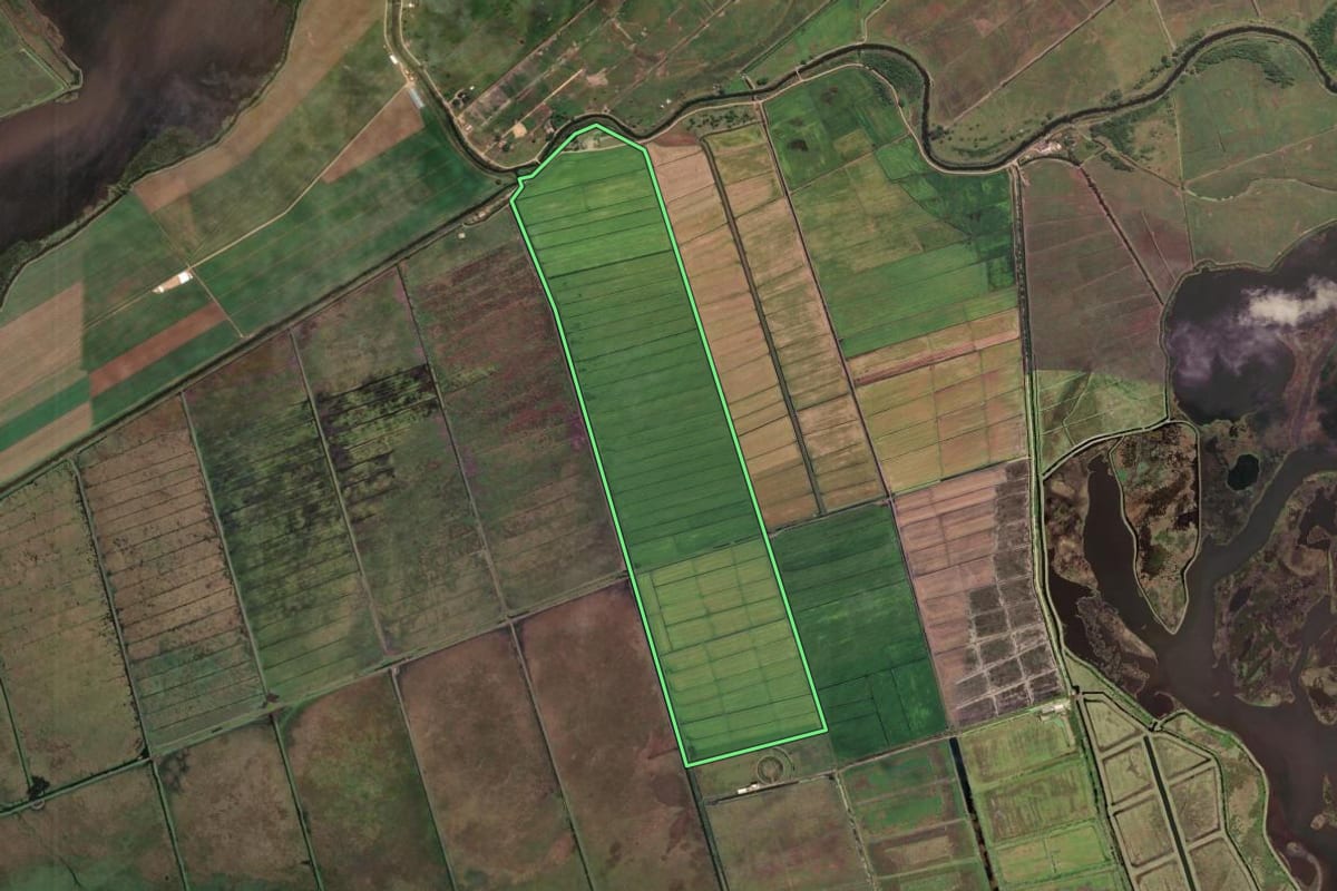 Imagem de satélite do imóvel rural em Laguna (SC), com o contorno declarado no CAR desenhado por cima.