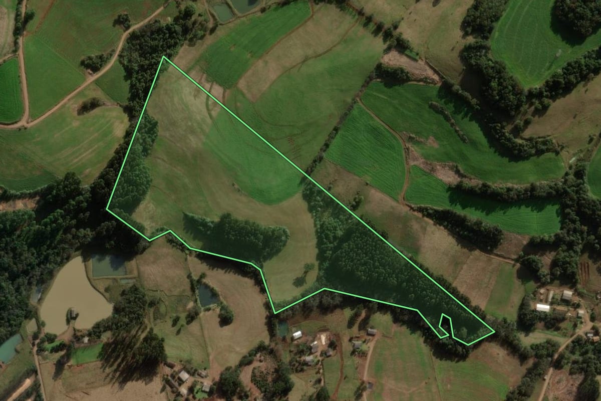 Imagem de satélite do imóvel rural em Lajeado Grande (SC), com o contorno declarado no CAR desenhado por cima.