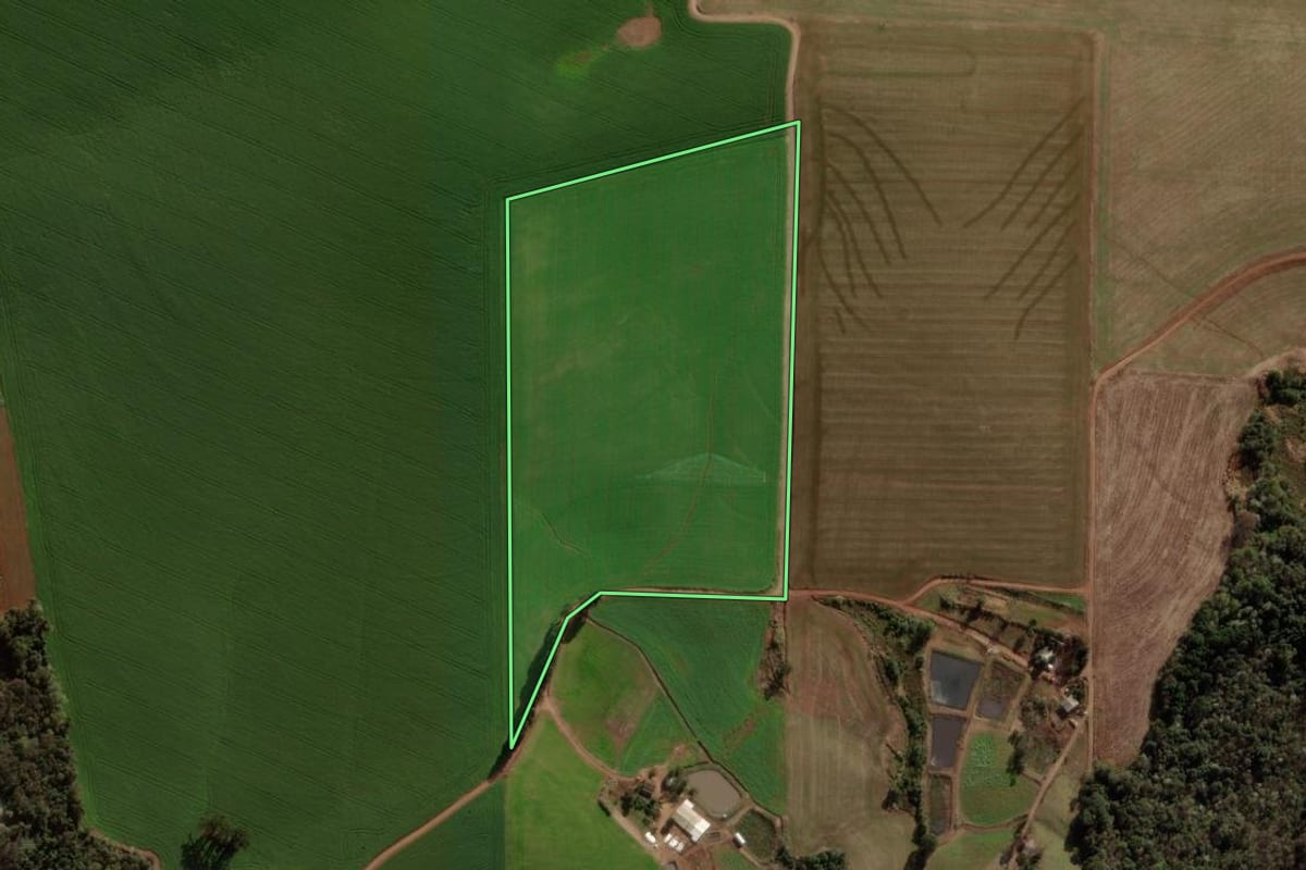 Imagem de satélite do imóvel rural em Lajeado Grande (SC), com o contorno declarado no CAR desenhado por cima.