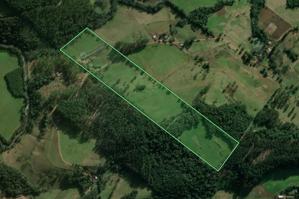Imagem de satélite do imóvel rural em Lajeado Grande (SC), com o contorno declarado no CAR desenhado por cima.