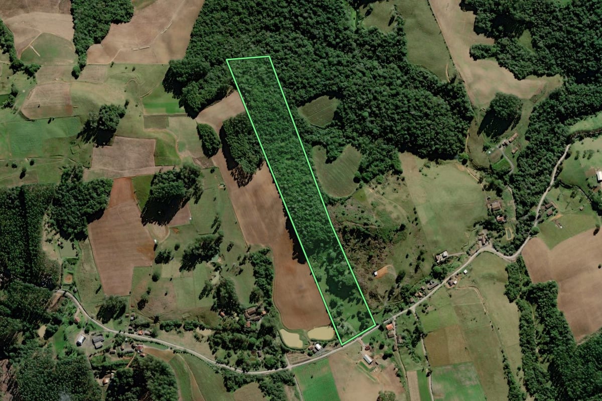 Imagem de satélite do imóvel rural em Laurentino (SC), com o contorno declarado no CAR desenhado por cima.
