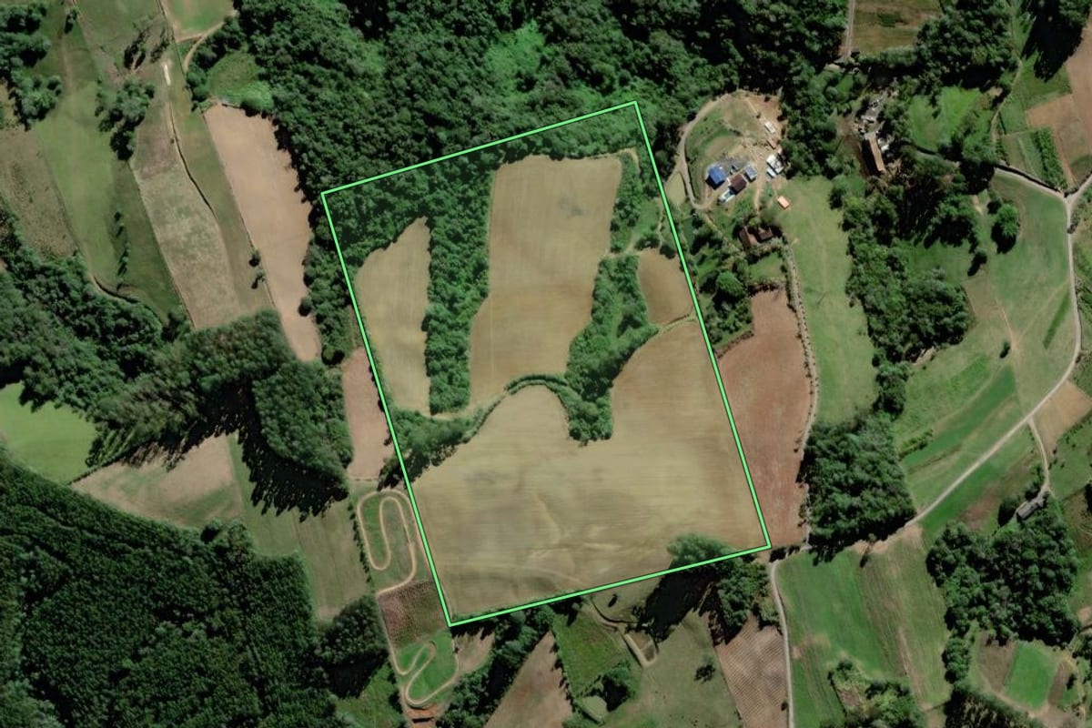 Imagem de satélite do imóvel rural em Laurentino (SC), com o contorno declarado no CAR desenhado por cima.