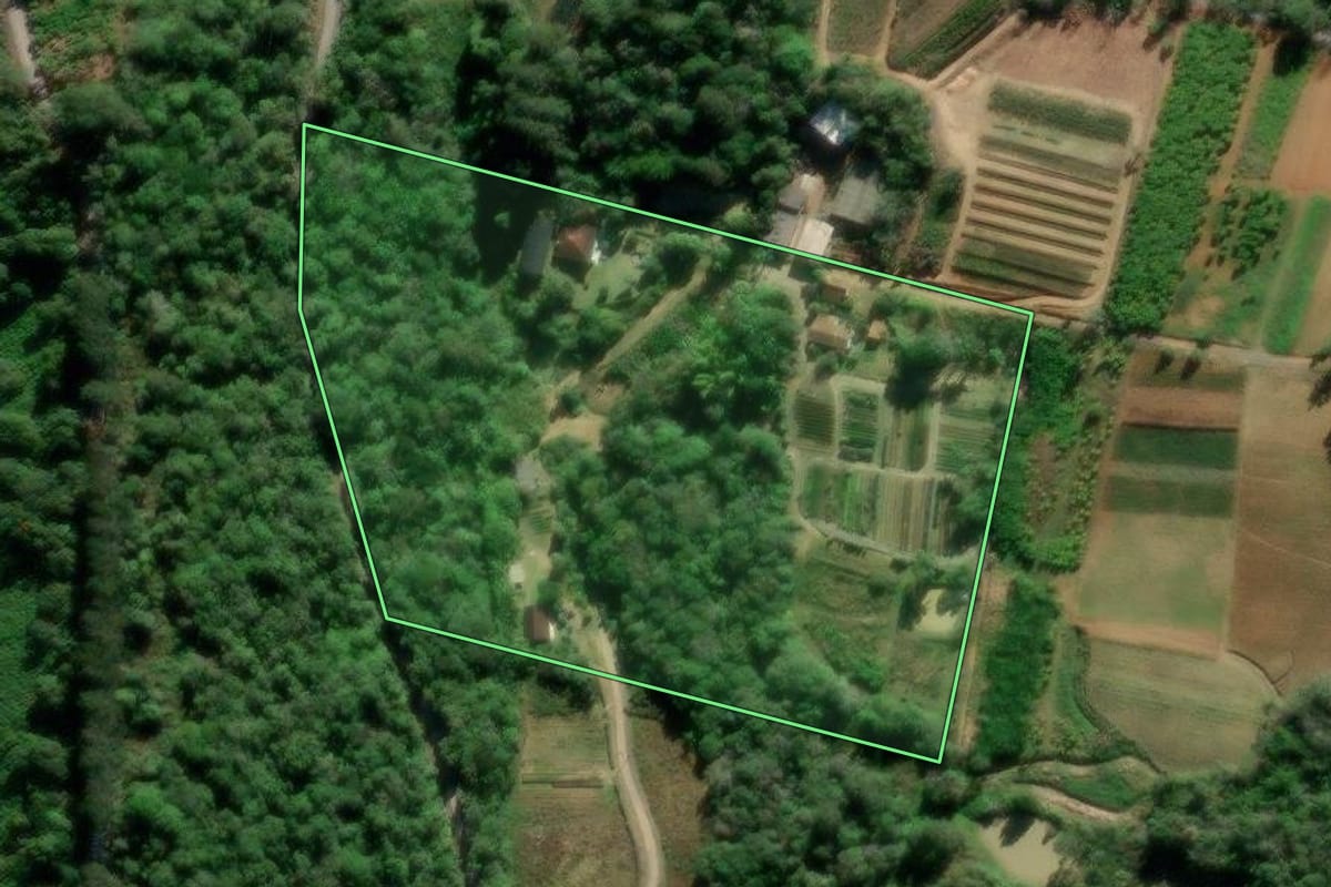Imagem de satélite do imóvel rural em Laurentino (SC), com o contorno declarado no CAR desenhado por cima.