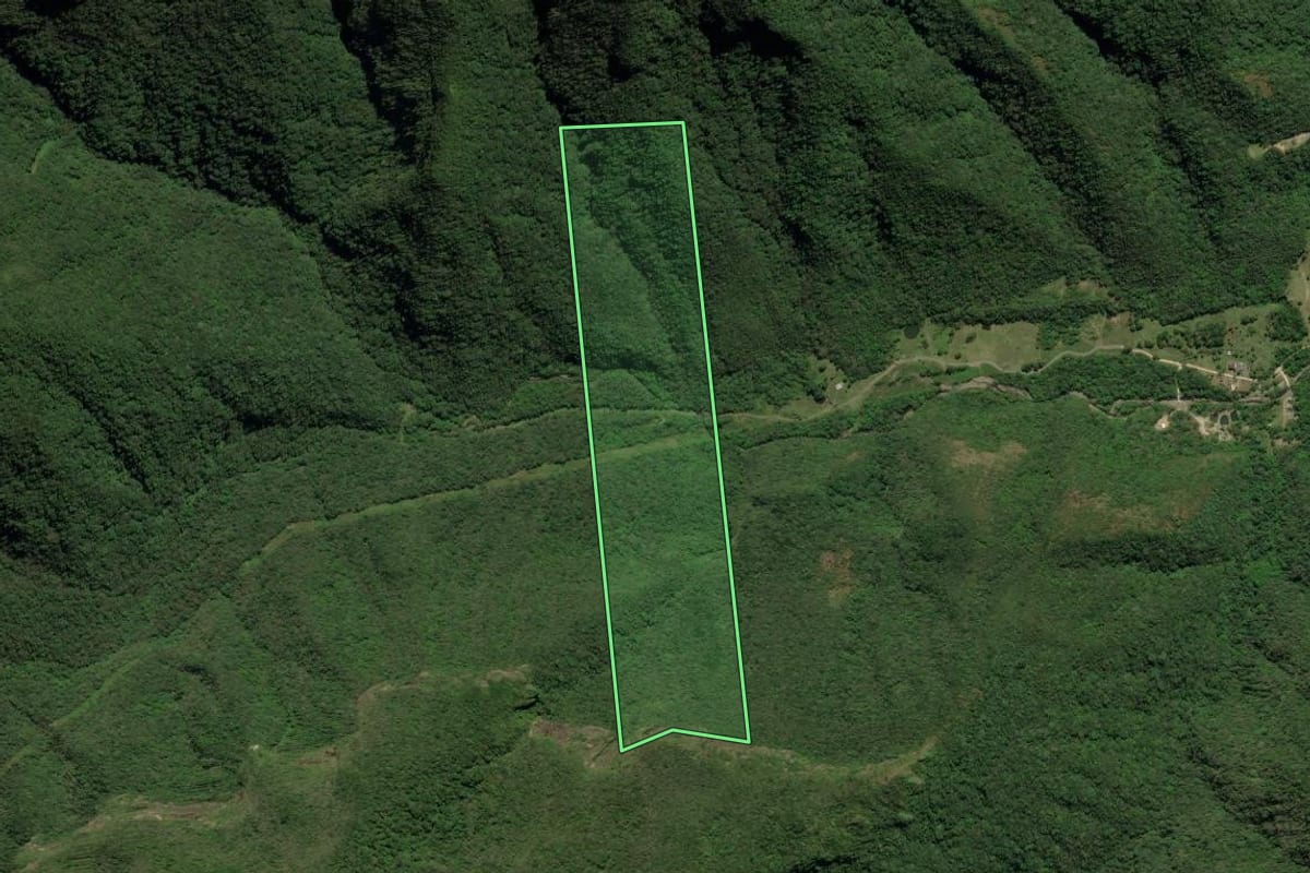 Imagem de satélite do imóvel rural em Lauro Müller (SC), com o contorno declarado no CAR desenhado por cima.