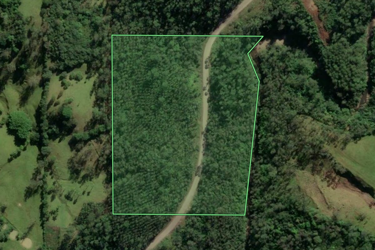 Imagem de satélite do imóvel rural em Lauro Müller (SC), com o contorno declarado no CAR desenhado por cima.