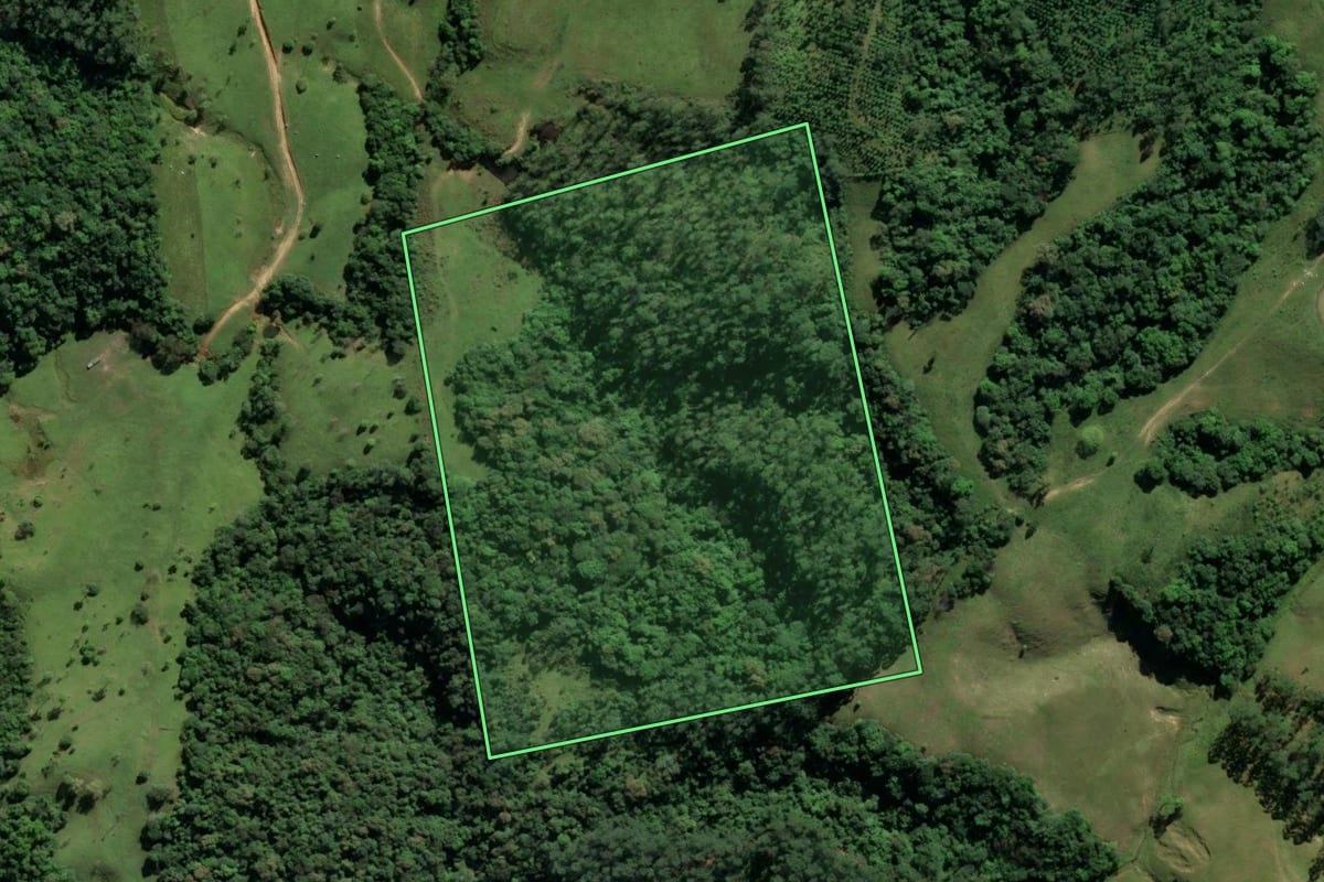 Imagem de satélite do imóvel rural em Lauro Müller (SC), com o contorno declarado no CAR desenhado por cima.