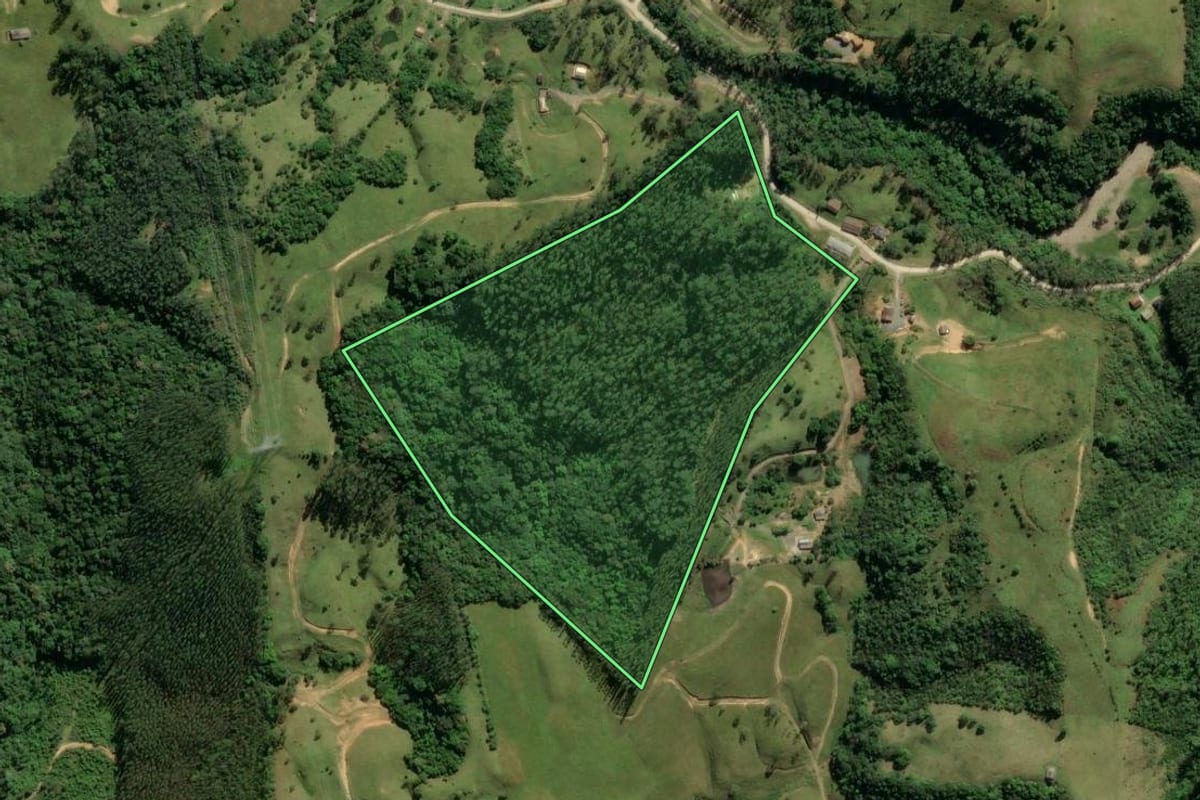 Imagem de satélite do imóvel rural em Lauro Müller (SC), com o contorno declarado no CAR desenhado por cima.