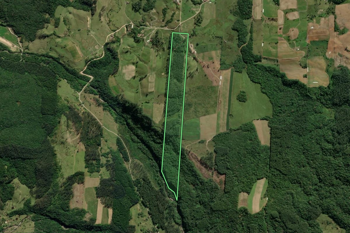 Imagem de satélite do imóvel rural em Lauro Müller (SC), com o contorno declarado no CAR desenhado por cima.