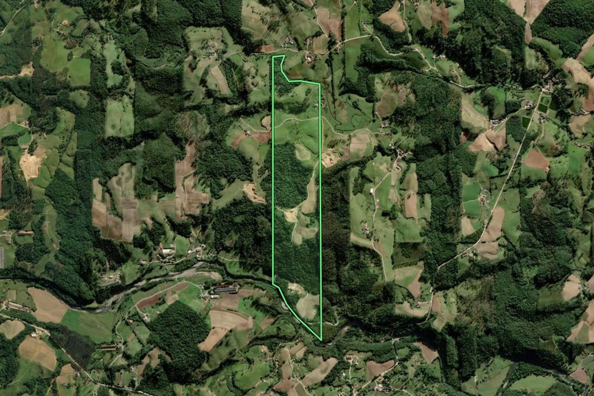 Imagem de satélite do imóvel rural em Lauro Müller (SC), com o contorno declarado no CAR desenhado por cima.