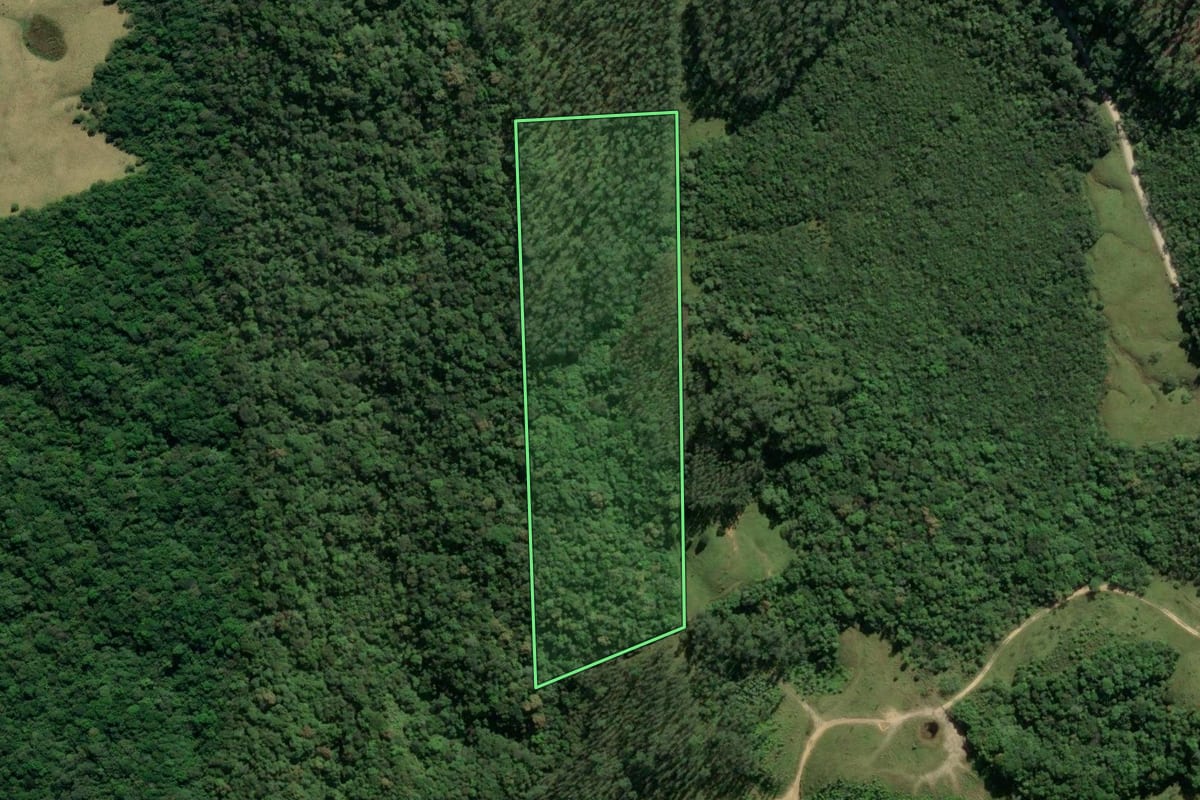Imagem de satélite do imóvel rural em Lauro Müller (SC), com o contorno declarado no CAR desenhado por cima.
